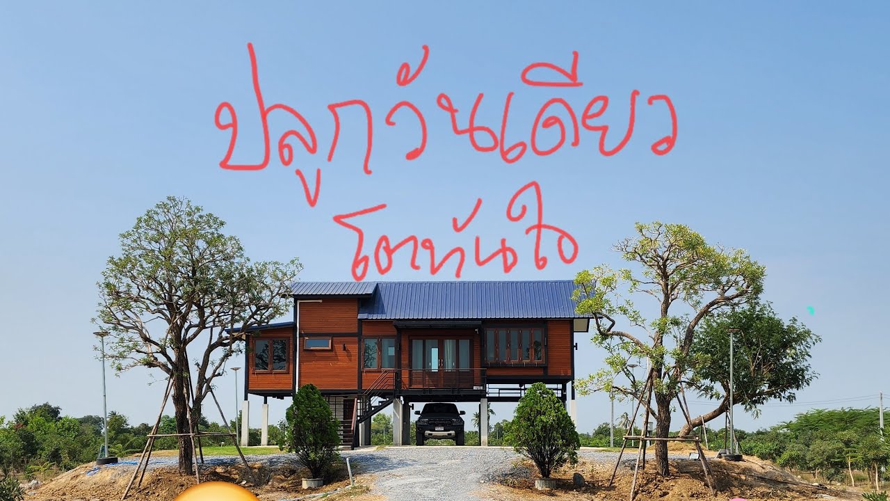 ปลูกต้นไม้วันเดียว โตทันใจได้ร่มเงา