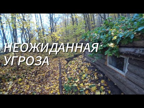 Video: Колбаса дарагы - ысык Африкадан салам