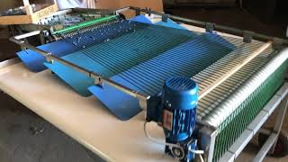 Sorting machine for blue berries