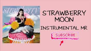 IU(아이유) _ Strawberry Moon Instrumental MR Net Worth