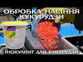 Обробка насіння кукурудзи інокулянтом BiNoc ENZIM - Підвищення врожайності кукурудзи