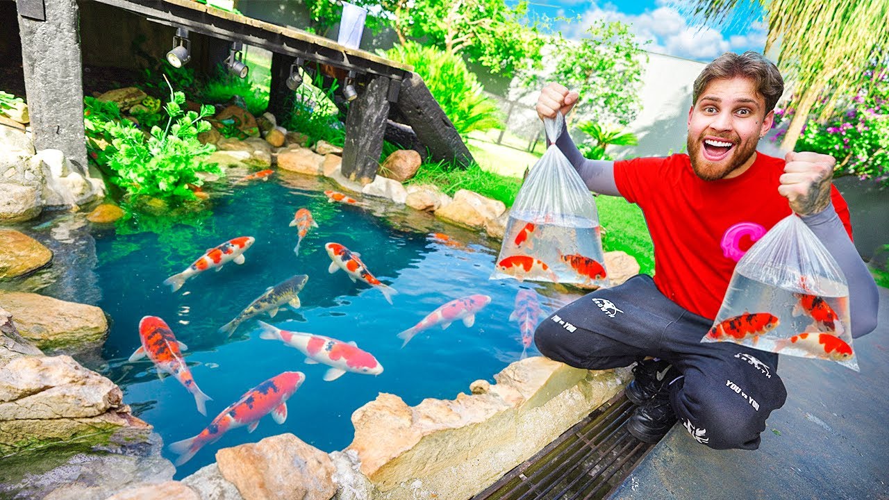 Comprei Muitas Carpas Pra Colocar No Meu Lago De Capas 😍 PROJETO FINALIZADO !! ✅