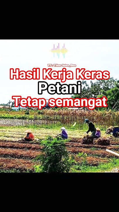 Emak-emak Panen Bawang Merah#shortvideo#petani#bawangmerah#tetapbersyukur#music#dangdut
