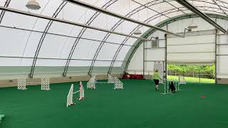 Emmy USDAA @ Home Trial screenshot 4