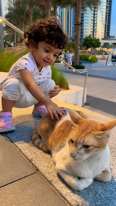 😘kathu നെ കുറച്ച് സ്നേഹിച്ചേക്കാം |ആരു പറഞ്ഞു meow| appu cartoon | kathu | #cat #premalu #kathu