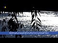 تعرف على واحدة من أكبر الحدائق في أوروبا الشرقية حديقة أوليكساندريا الأوكرانية