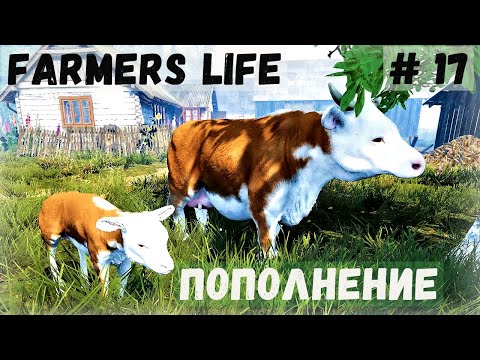 Видео: Farmer's Life - Рождение телёнка.  Картошка сгнила.  Продаю самогон - Жизнь фермера Казимира # 17