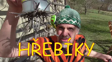 Proč je železo důležité pro zdraví?