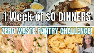 NO SPEND WEEK OF PANTRY MEALS/REAL LIFE MEAL IDEAS FOR LARGE FAMILY/PANTRY CHALLENGE