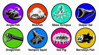 Every WEIRD Deep-Sea Creature Explained
