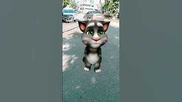 Thumbnail of Billi dance #shorts 🐱🐱