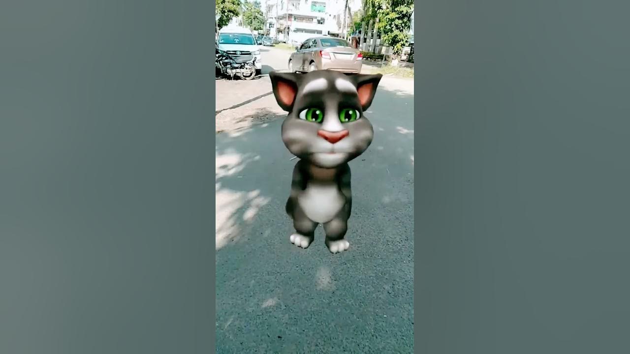 Billi dance #shorts 🐱🐱