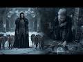 Abandoned by the Alpha King After 52 Years — She Found a Hidden Passage Beneath the Castle Floor