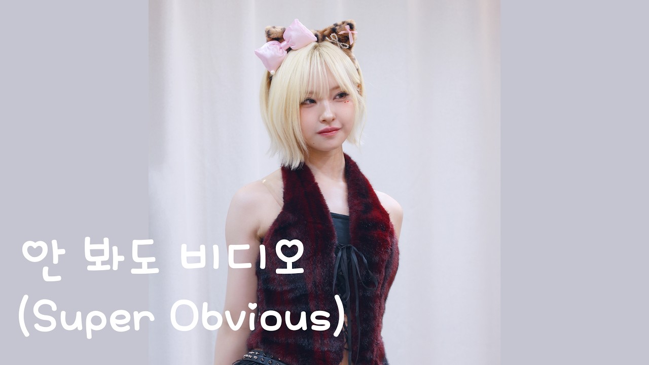 260214 메이딘(MADEIN) - 안 봐도 비디오 (Super Obvious) 나고미 8K 직캠 fancam @에버라인카페 팬싸인회