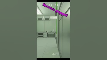 Lockdown Protocol or Pirates of the Caribbean?