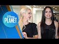 ¡Todo lo que Quieres Saber Sobre Sofia Carson y Dove Cameron!