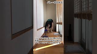 【バレーあるある】バレーパンツの長さに慣れすぎて普通のハーフパンツを折り曲げてバレーパンツくらい短くする