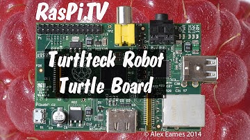 Turtlteck - Ryan Walmsley