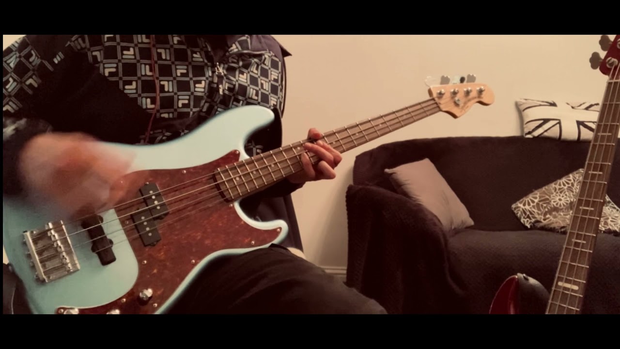 Red Hot Chili Peppers Love Rollercoaster Bass Cover YouTube