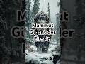 Das Mammut – ein Gigant der Eiszeit.