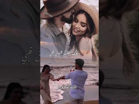 دورنا عليك يا غالي وقدرنا على الليالي شاديه