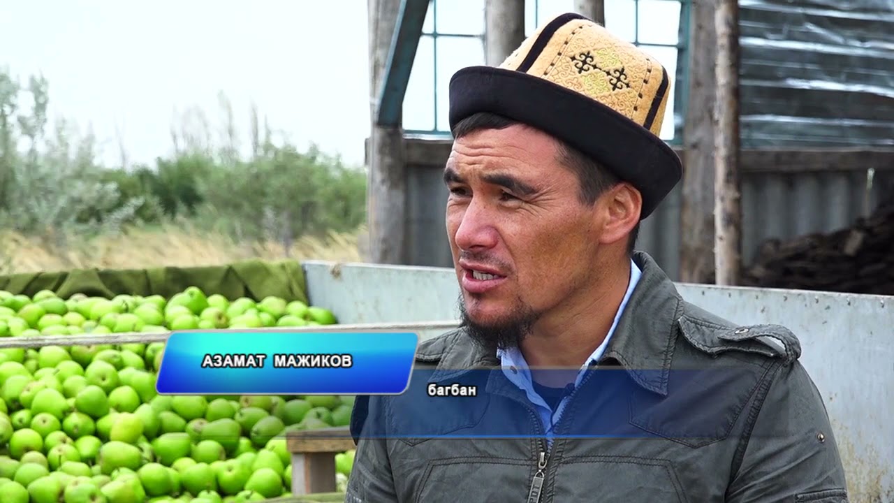 Мээнети кайткан, күжүрмөн дыйкан Азамат Маджиков