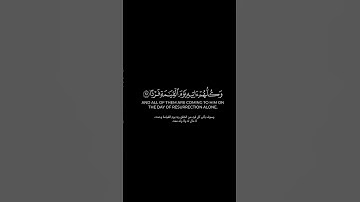 وكلهم آتيه يوم القيامة فردا | كرومات قرآن كريم بصوت #عبدالرحمن_مسعد | #سورة_مريم