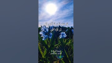 ﴿فَلَا تَعۡلَمُ نَفۡسࣱ مَّاۤ أُخۡفِیَ لَهُم..﴾ [السجدة ١٧] للقارئ رعد الكردي