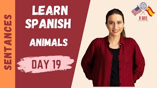 LEARN SPANISH Phrases ► (DAY 19) Animals ►  Spanish WORDS and SENTANCES  #XGEO