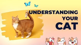Feline Frenzy: Unleashing the World of Cats