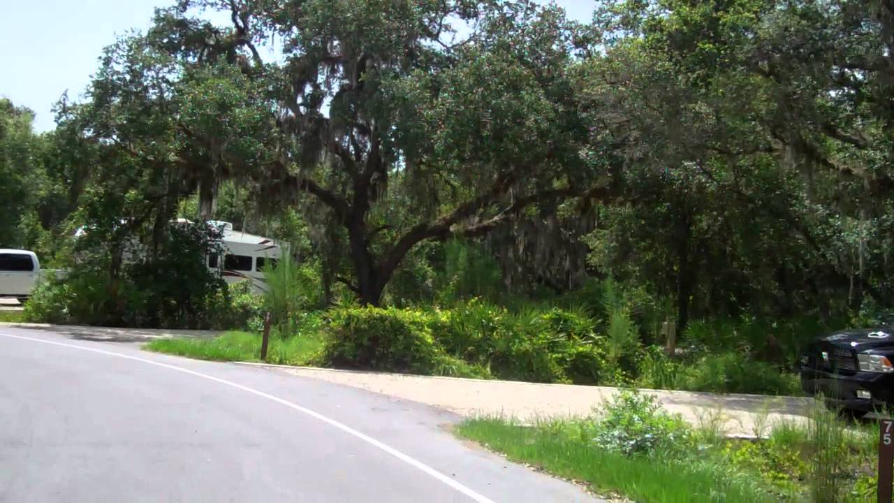 Palmetto Ridge Campground Tour at Myakka River State Park YouTube