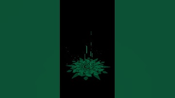 パーティクル 魔法陣