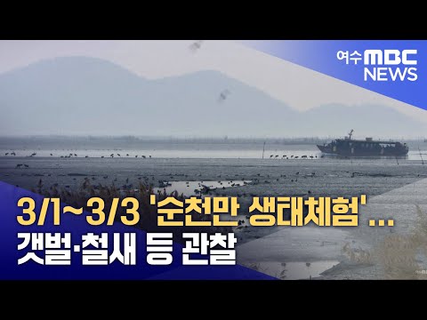 3/1~3/3 &amp;#39;<strong>순천만</strong> 생태체험&amp;#39;... 갯벌·철새 등 관찰 (250223일/뉴스데스크)