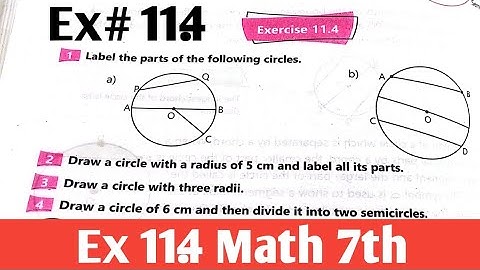 Exercise 11.4 Class 7th Maths kpk and PTB new course 2023 | unit 11 Math 7 ptb SNC 2024