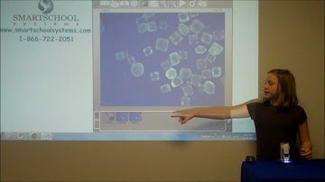 SmartMicroScope Handheld Digital Microscope Demo
