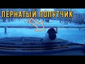 Курьезные ситуации на дорогах, авто приколы 2020 | Curious situations on the roads