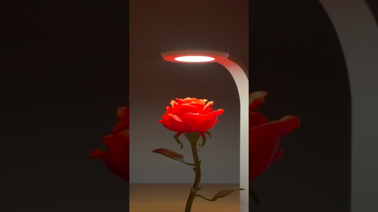 Rose Lamp 