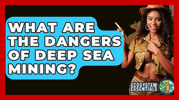 What Are The Dangers Of Deep Sea Mining? - Ecosystem Essentials