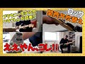 【エリック・クラプトン】レイラギターのブラウニーモデルを試奏【関西弁吹替え】