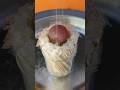 EXPERIMENT Glowing 1000 degree METAL BALL vs #youtube #share #shortvideo #shorts