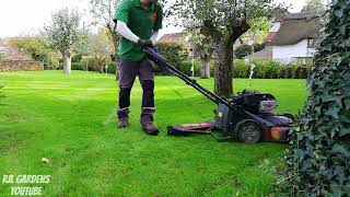 Toro Timemaster with Striping Kit, LAWN SCARIFYING RESULTS