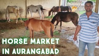 ghoda bazar in Aurangabad chowni Maharashtra | horse market in Aurangabad india | Rudra stud farm