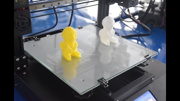We are testing HICTOP D3 hero by printing Twin Wuba with TPU