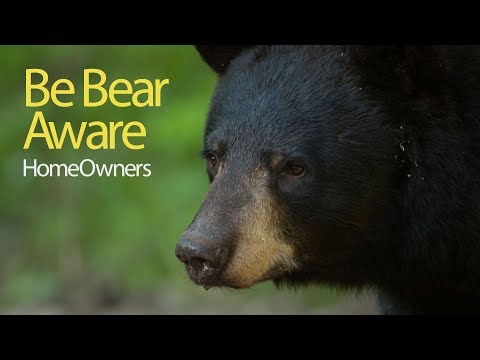 Encounter Behavior & Myths (Be Bear Aware) - IGBC