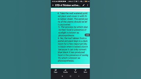 STD-6 Thinker active Science Workbooks Ch-7 Getting to Know Plants Best Solution