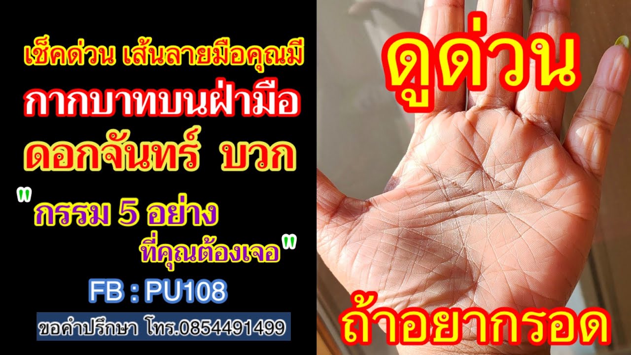 เช็คด่วน เส้นลายมือคุณมี กากบาท ดอกจันทร์ บวก บนฝ่ามือ 