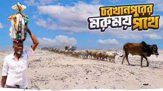 চরখানপুরের মরুময় পথের অপরূপ সৌন্দর্য || Char Khanpur Part 01 || Rajshahi