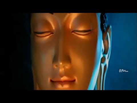 Das Leben des Buddha - Teil 6 : Angulimala - Transformation und Heilung