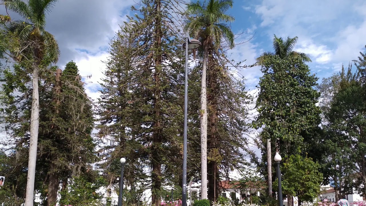 Parque Caldas Popay n 4k UHD YouTube