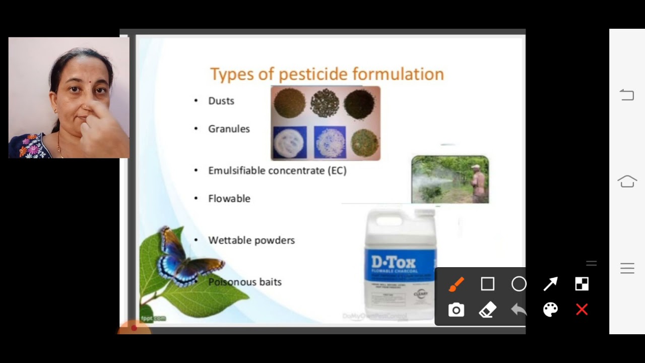 Pest control by chemical methods - YouTube